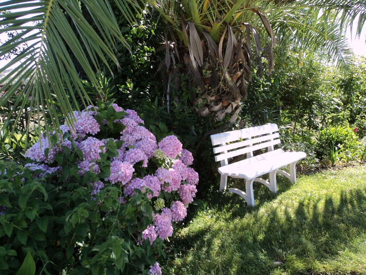 Inviting Holiday Home In Montemor O Novo With Pool Zewnętrze zdjęcie
