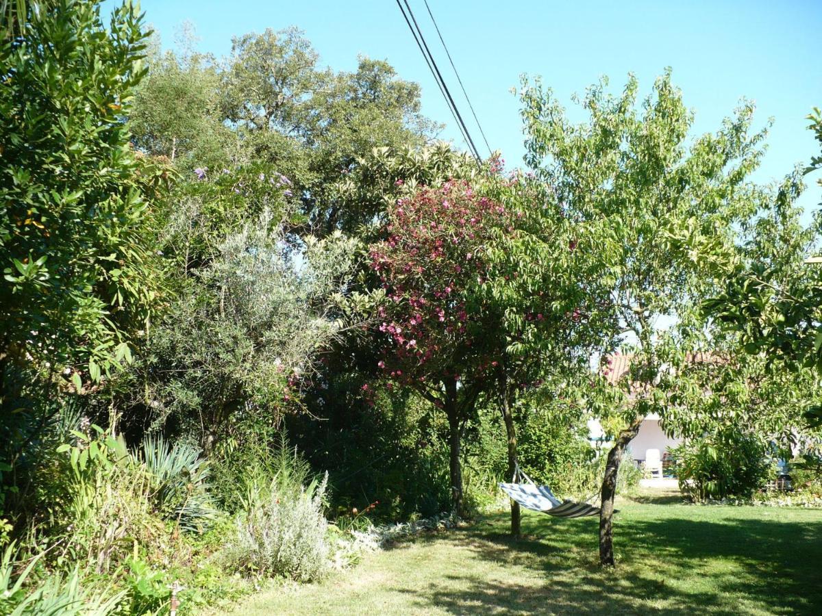 Inviting Holiday Home In Montemor O Novo With Pool Zewnętrze zdjęcie