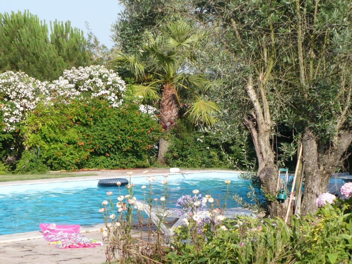 Inviting Holiday Home In Montemor O Novo With Pool Zewnętrze zdjęcie