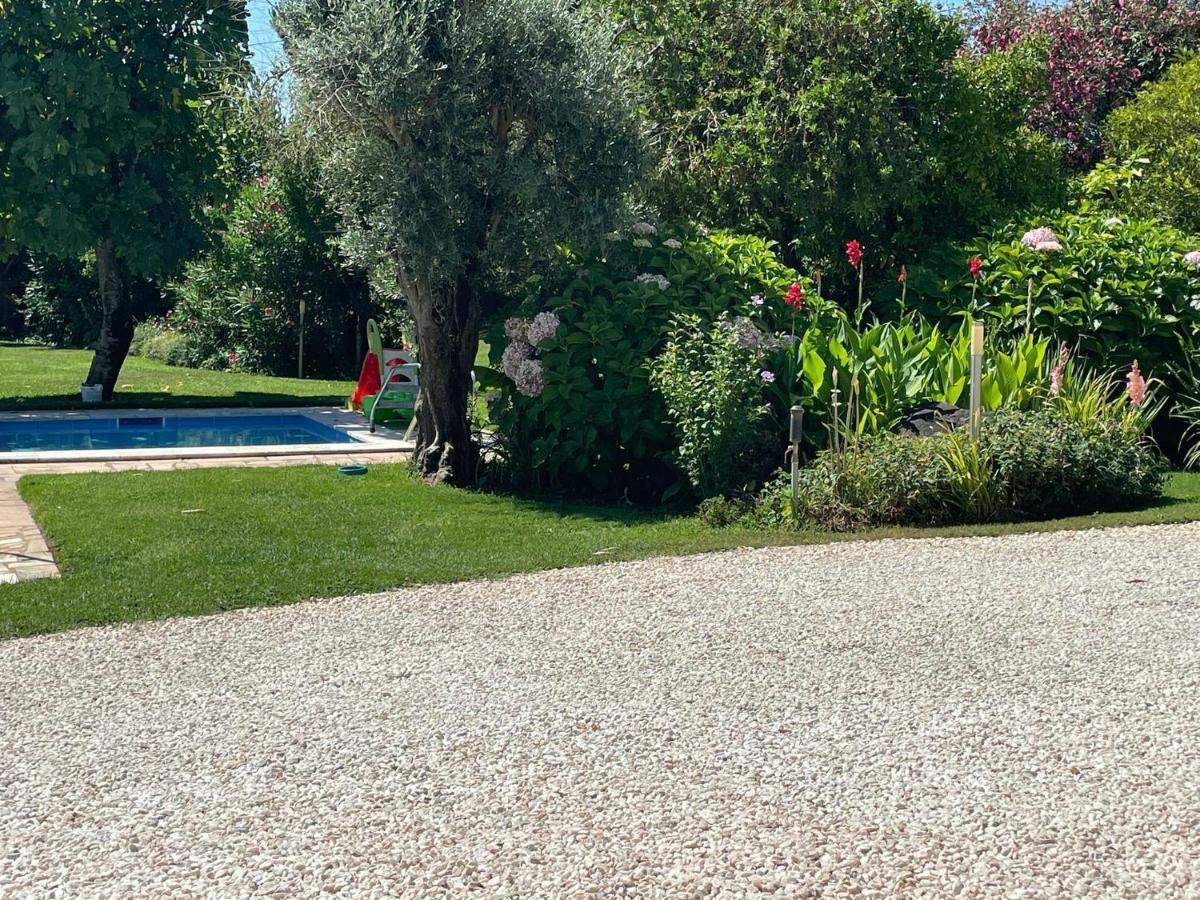 Inviting Holiday Home In Montemor O Novo With Pool Zewnętrze zdjęcie